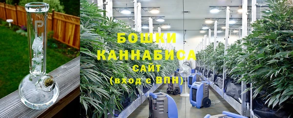 гидра Лихославль