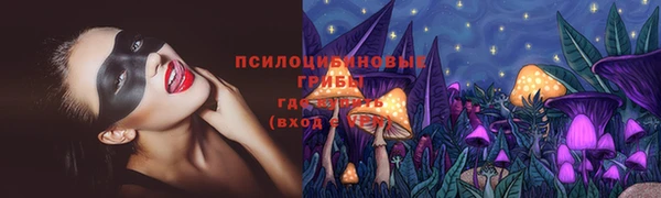 амф Майский
