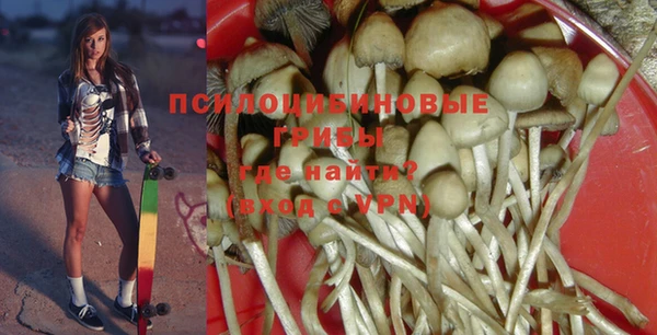 мдпв Липки