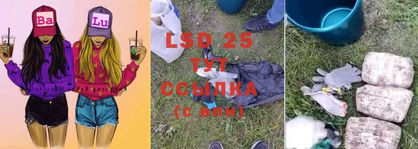 гидра Лихославль