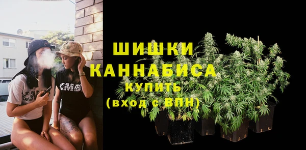 мдпв Липки